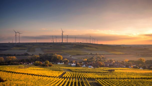 Countryside landscape in Poland representing the agricultural sector for Envirologic’s distributor search of automated cleaning robots.