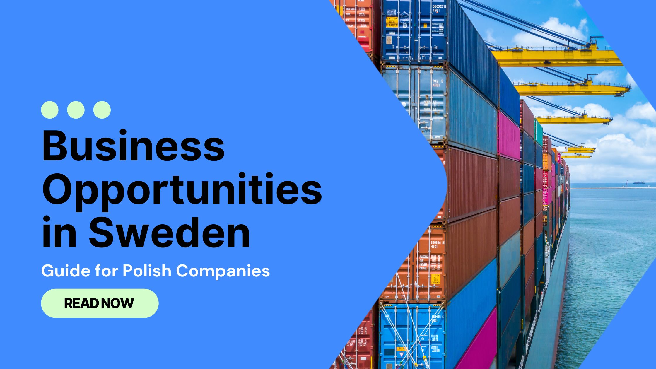 Business Opportunities in Poland_Head Banner